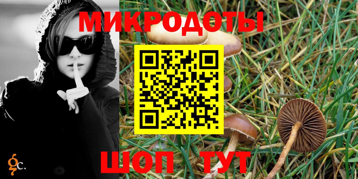 Псилоцибиновые грибы GOLDEN TEACHER  Вход с VPN  как найти наркотики  Анапа  Галлюциногенные грибы мухоморы 